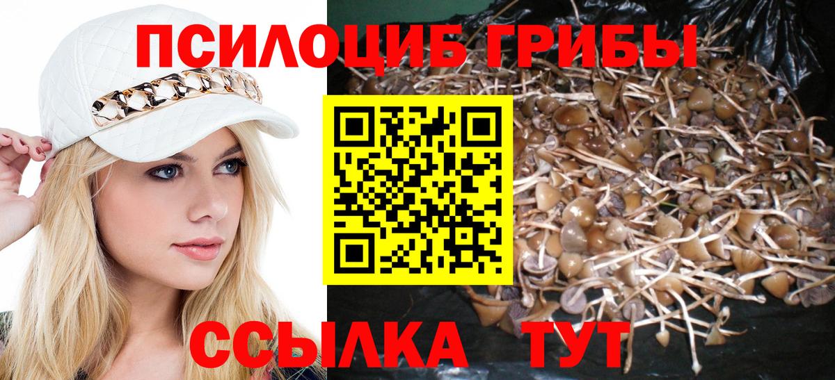 Псилоцибиновые грибы мицелий Краснодар
