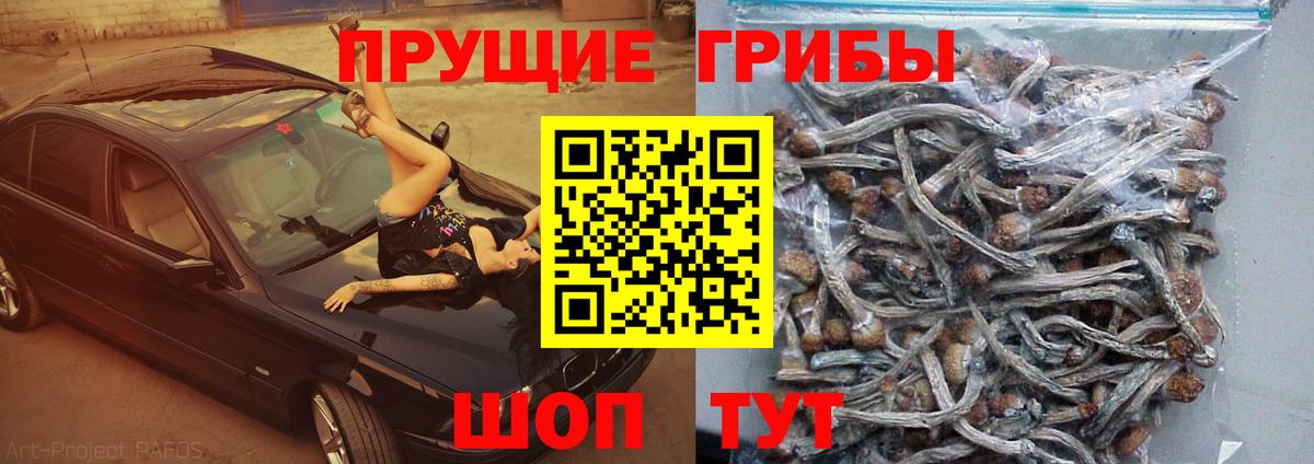 Краснодар  Галлюциногенные грибы ЛСД  Вход с VPN 
